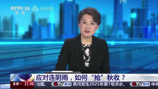 【主流媒體看周口】面對連陰雨 如何“搶”秋收？